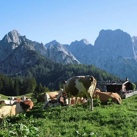 Haus Buchenwald * Ramsau bei Berchtesgaden